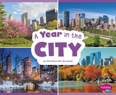 A year in the city cover image