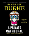 A private cathedral cover image