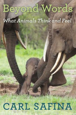 Beyond words : what animals think and feel cover image
