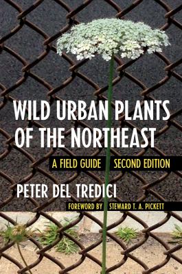 Wild urban plants of the Northeast : a field guide cover image