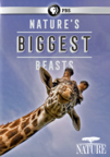 Nature's biggest beasts cover image