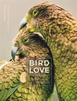 Bird love : the family life of birds cover image