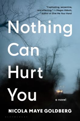 Nothing Can Hurt You cover image