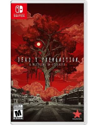 Deadly premonition. 2, A blessing in disguise [Switch] cover image