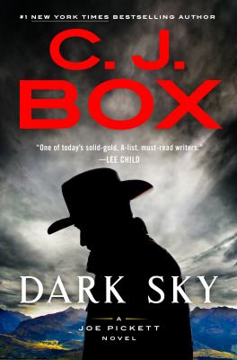 Dark sky : a Joe Pickett novel cover image