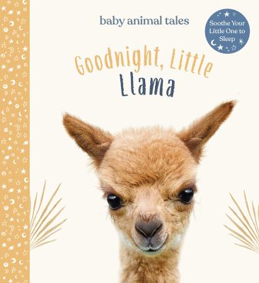 Goodnight, little llama cover image