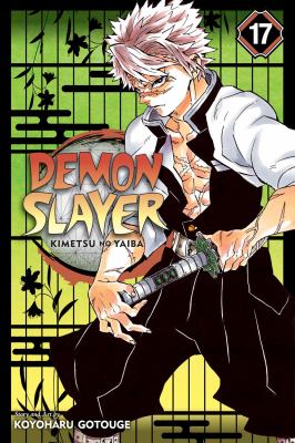 Demon slayer. 17, Successors cover image