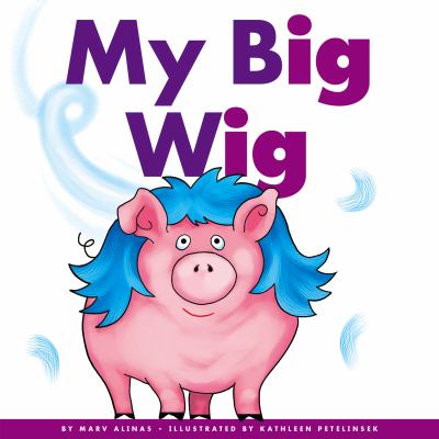My big wig cover image