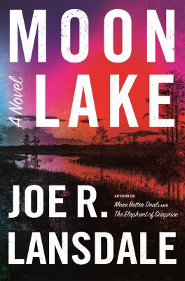Moon lake : an East Texas gothic cover image