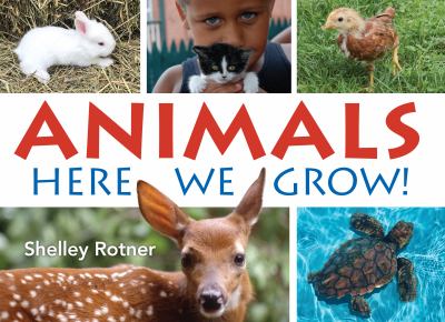 Animals! here we grow cover image