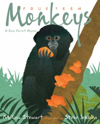 Fourteen monkeys : a rain forest rhyme cover image