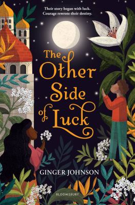 The other side of luck cover image