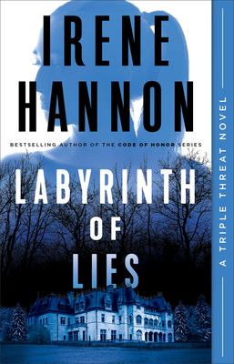 Labyrinth of lies cover image