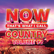 NOW that's what I call country. Volume 14 cover image