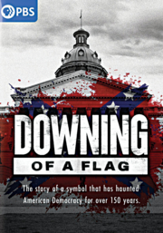 Downing of a flag the story of a symbol that has haunted American democracy for over 150 years cover image