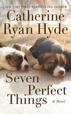 Seven perfect things cover image