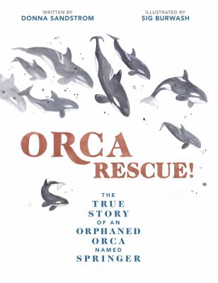 Orca rescue! : the true story of an orphaned orca named Springer cover image