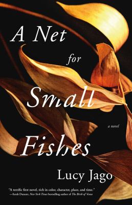 A net for small fishes cover image