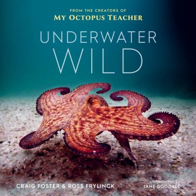 Underwater wild : my octopus teacher's extraordinary world cover image