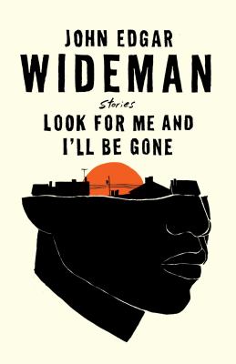 Look for me and I'll be gone : stories cover image