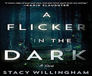 A flicker in the dark cover image