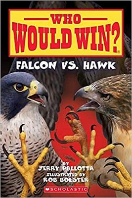 Falcon vs. hawk cover image