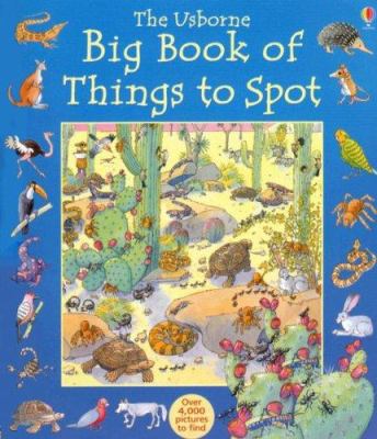 The Usborne big book of things to spot cover image
