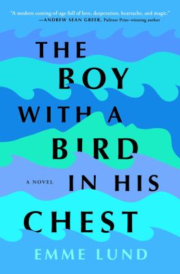 The boy with a bird in his chest cover image
