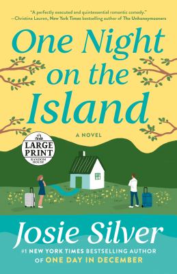 One night on the island cover image