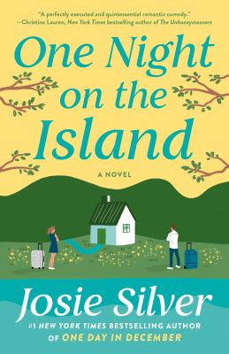 One night on the island cover image
