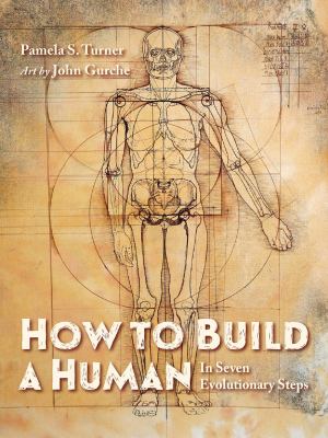 How to build a human : in seven evolutionary steps cover image