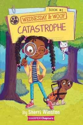 Catastrophe cover image