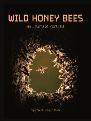 Wild honey bees : an intimate portrait cover image
