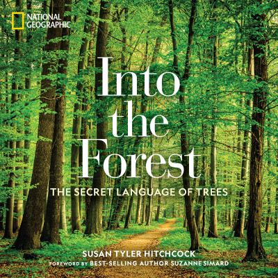 Into the forest : the secret language of trees cover image