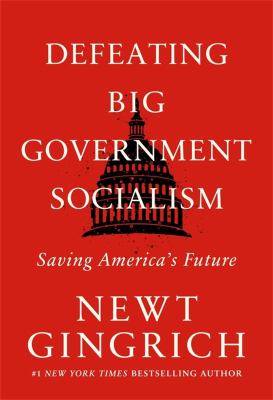Defeating big government socialism : saving America's future cover image