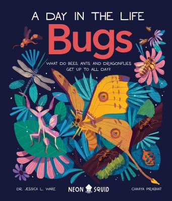 Bugs : what do bees, ants, and dragonflies get up to all day? cover image
