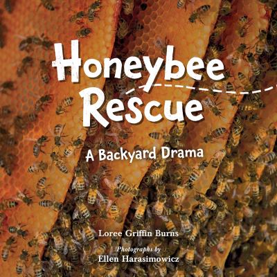 Honeybee rescue : a backyard drama cover image