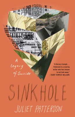 Sinkhole : a legacy of a suicide cover image