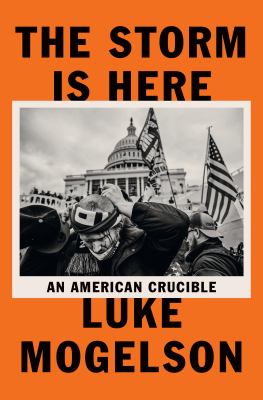 The storm is here : an American crucible cover image