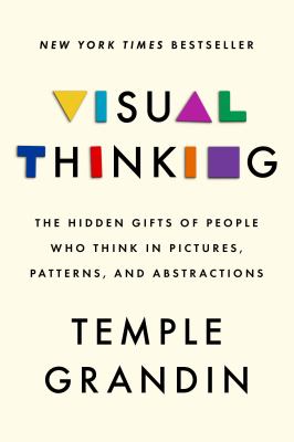 Visual thinking : the hidden gifts of people who think in pictures, patterns, and abstractions cover image