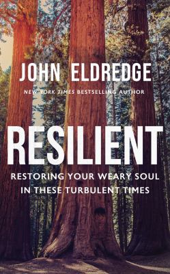 Resilient restoring your weary soul in these turbulent times cover image