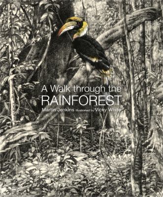 A walk through the rain forest cover image