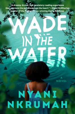 Wade in the water cover image