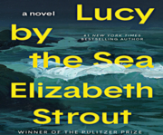 Lucy by the sea a novel cover image