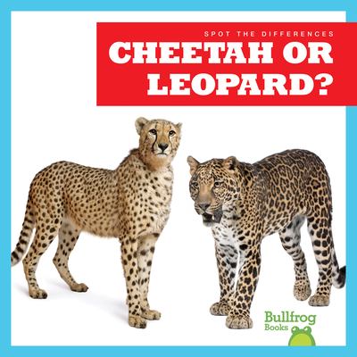 Cheetah or leopard? cover image