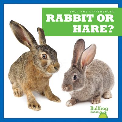 Rabbit or hare? cover image