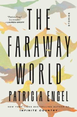 The faraway world : stories cover image
