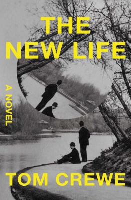 The new life : a novel cover image