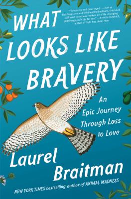 What looks like bravery : an epic journey through loss to love cover image