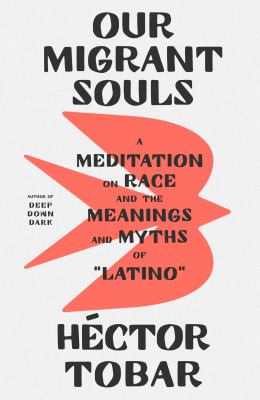 Our migrant souls : a meditation on race and the meanings and myths of "Latino" cover image